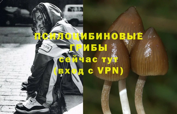 таблы Каменногорск