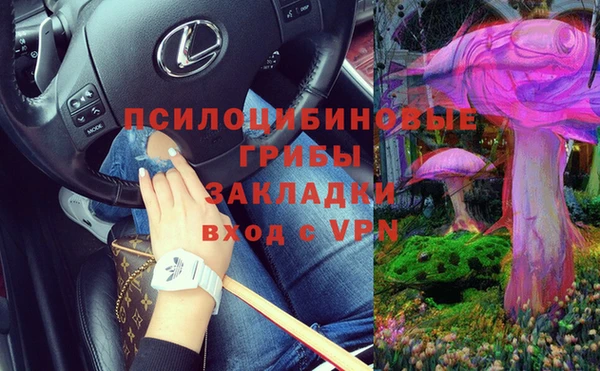 таблы Каменногорск