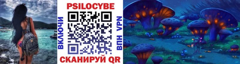 Купить где  Кукмор  Псилоцибиновые грибы Psilocybine cubensis 